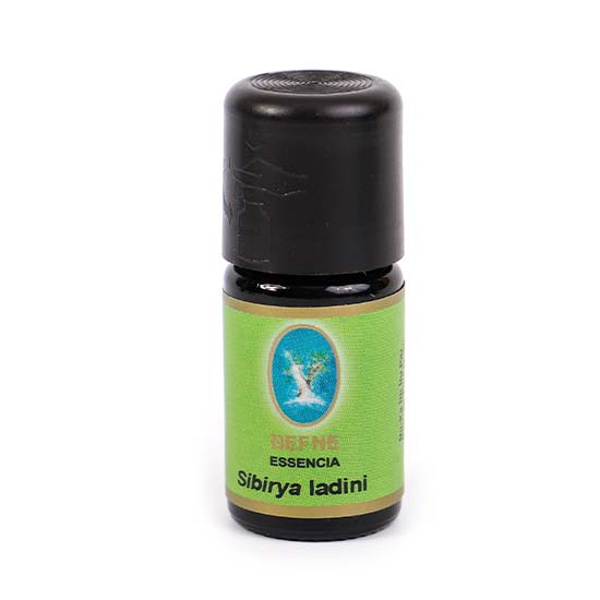 Sibirya Ladini Yağı - Geleneksel 5 ml 